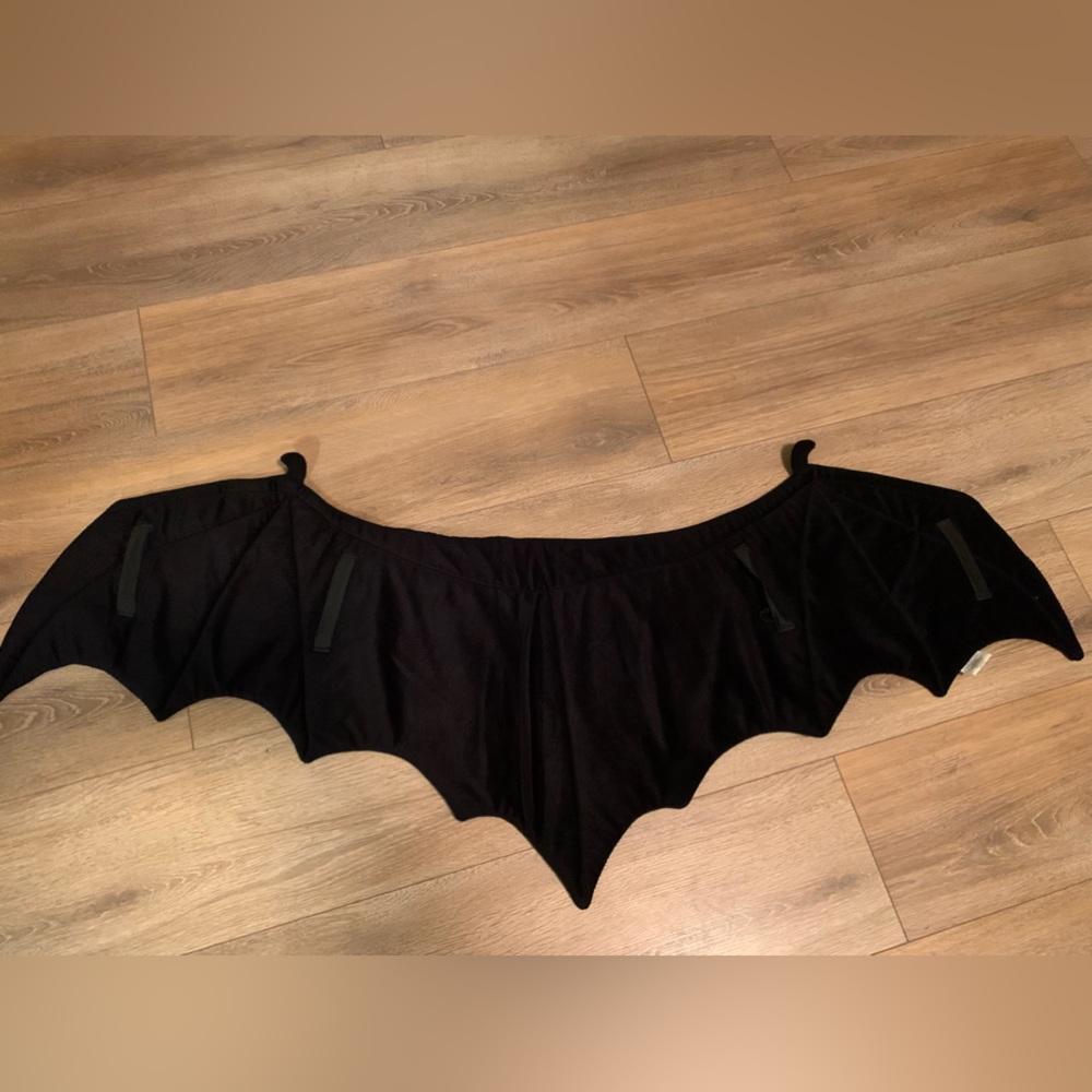 Bat wings kids Pottery Barn
